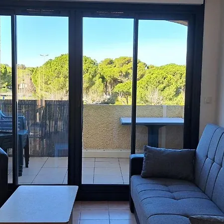 Lejlighed Odalys Cap D'agde - Piscine Chauffee, Clim, Plage, Parking Prive, Terrasse Agde